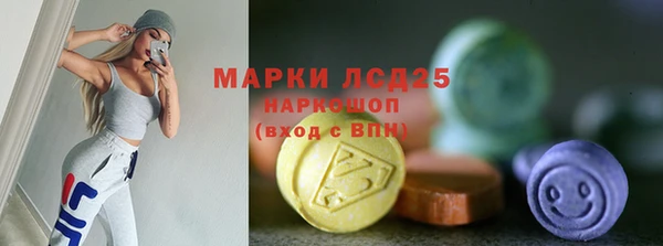 индика Бугульма