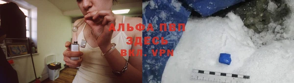 индика Бугульма