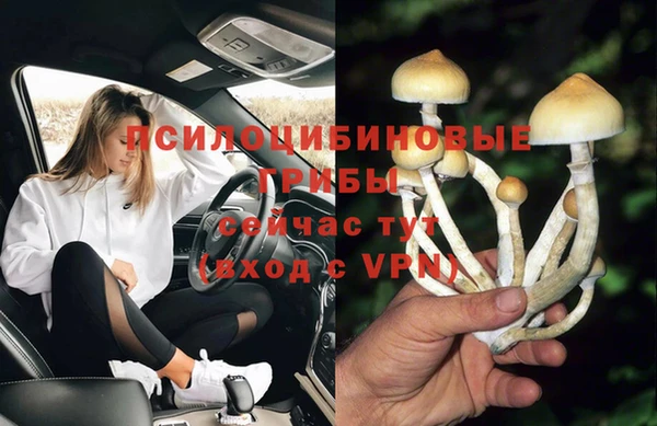 индика Бугульма