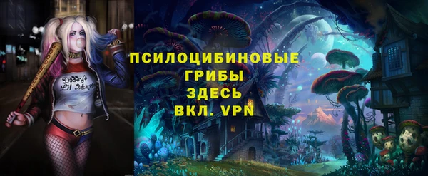 МДПВ Бронницы